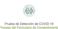 Proceso del Formulario de Consentimiento